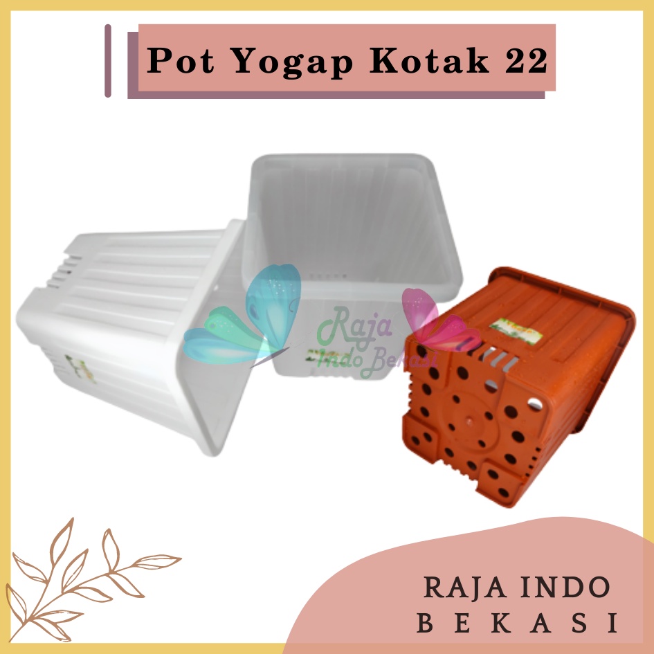 Pot Yogap Kotak 22 Putih Transparan Bening Merah Bata Coklat Terraccota Terakota Orange Pot Yogap 10 13 15 17 18 19 25 30 Pot Yogap Lusinan Pot Kotak Segi Pesegi Empat Panjang Tinggi