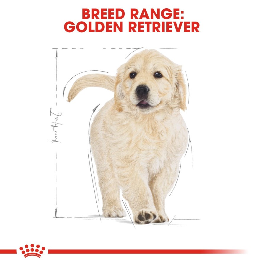 Royal Canin Golden Retriever Puppy Junior Makanan Anak Anjing 3kg 3 kg