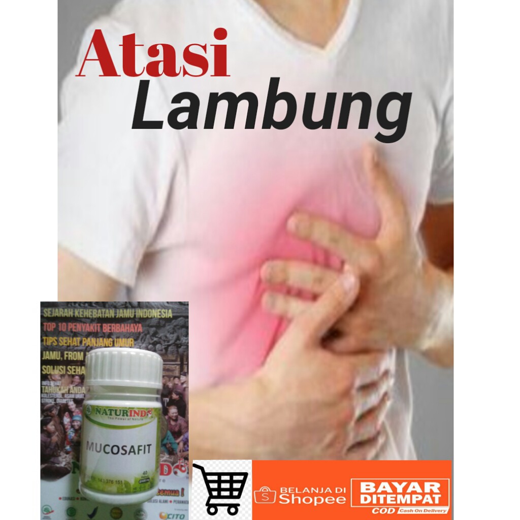 NATURINDO OBAT LAMBUNG-HERBAL LAMBUNG-OBAT HERBAL LAMBUNG-NATURINDO