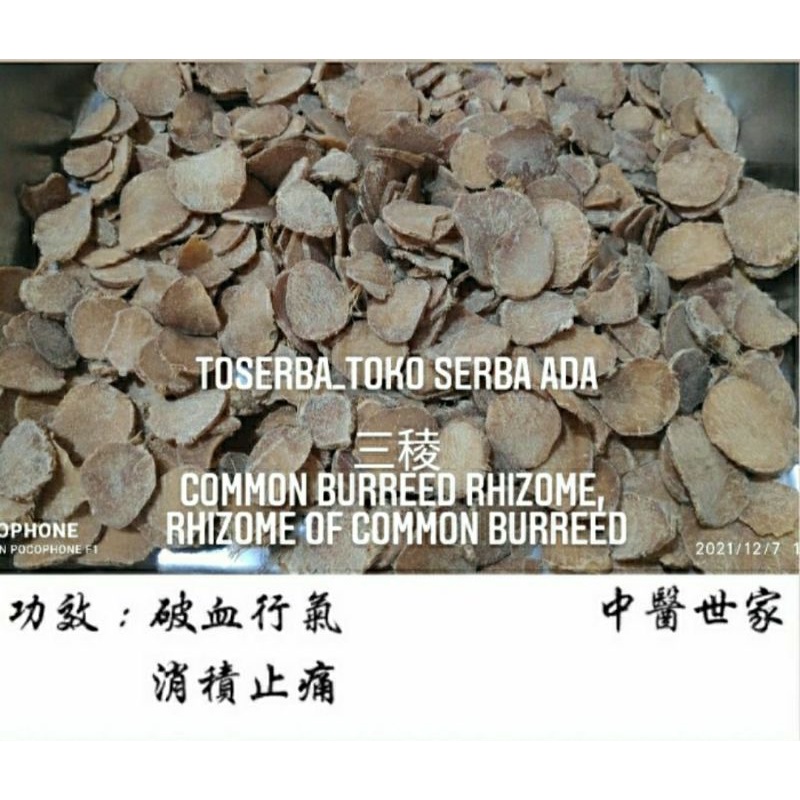 

100gr Herbal San Leng 三稜 Common Burreed Rhizome Grade A