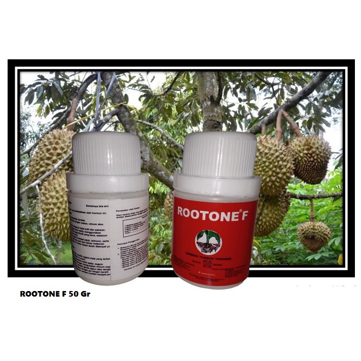 Rootone f 50 gram hormon tumbuh akar