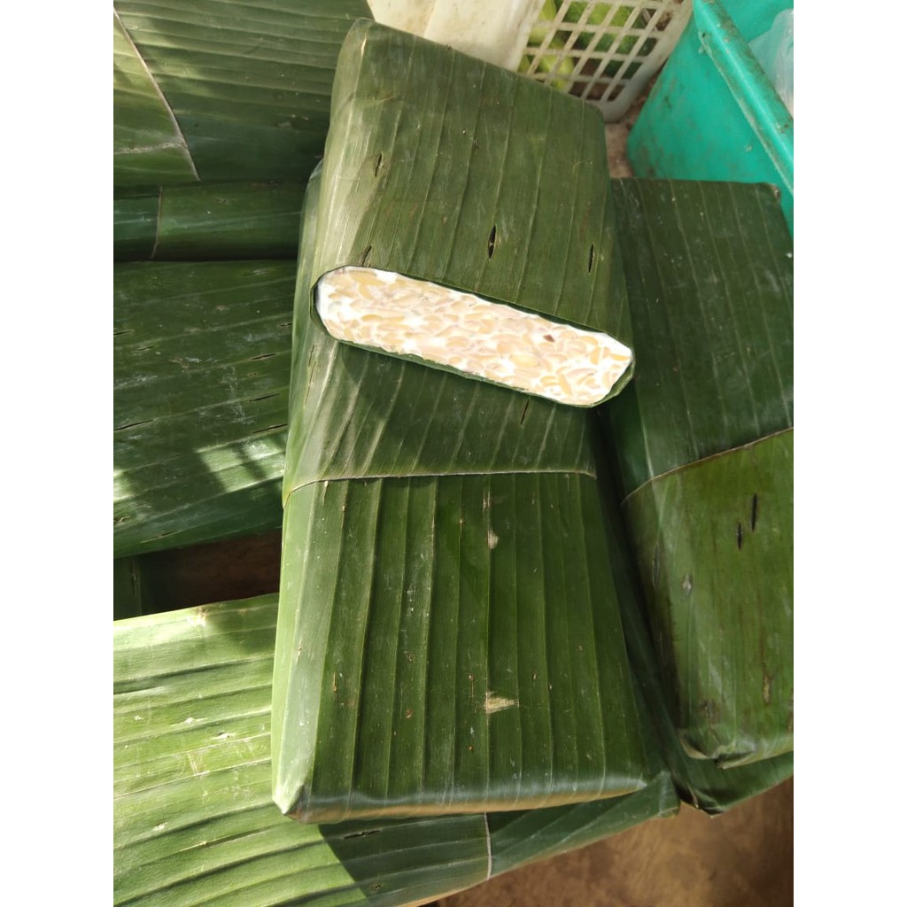 

tempe daun
