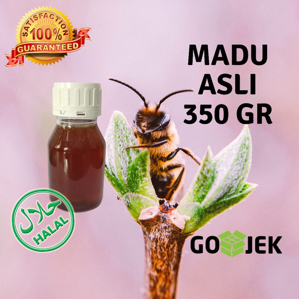 

Madu Asli Murni 100% Lebah Hutan Nektar Bunga Randu 350 Gram