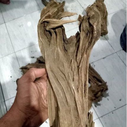 kayu irian aquascape size L