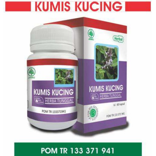 

Kumis Kucing Obat Darah Tinggi Asam Urat Kencing Batu Herbal Indo Utama
