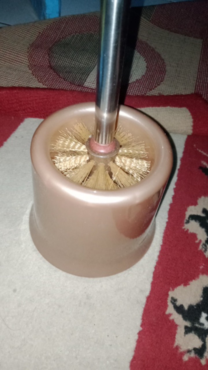 Sikat Wc Stainless + Tempat