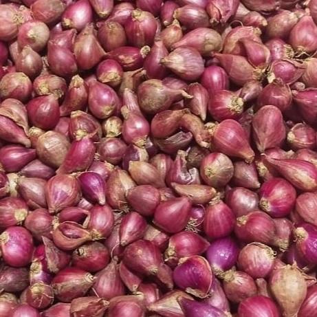 

[[COD]] bawang merah brebes ukuran kecil dan sedang 1 kg DISKON Kode 836