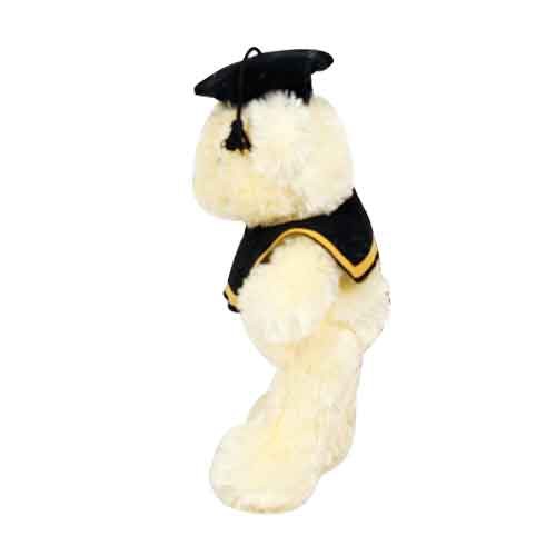 Boneka Wisuda Beruang Teddy Bear Istana Boneka Bear Nad Toga Lucu SNI