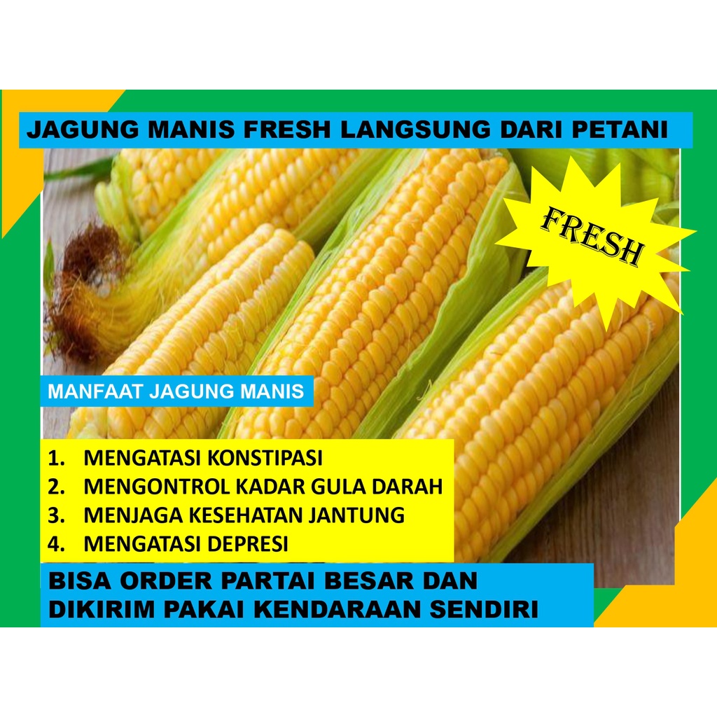 

Jagung Manis Kulit Fresh Box Langsung Dari Petani
