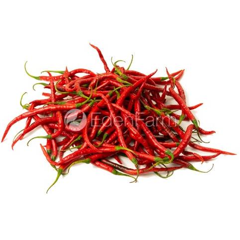 

[[COD]] Cabe Keriting Merah / Cabai Keriting Merah Segar 1/2 KG - 500 Gram TERLENGKAP Kode 1172