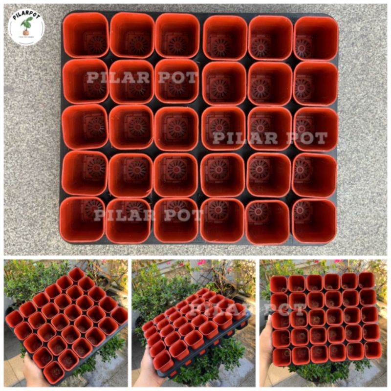 1 SET TRAY LUBANG 30 + POT NKT KOTAK 5CM MERAH BATA 30 PCS | TRAY SEMAI BIBIT