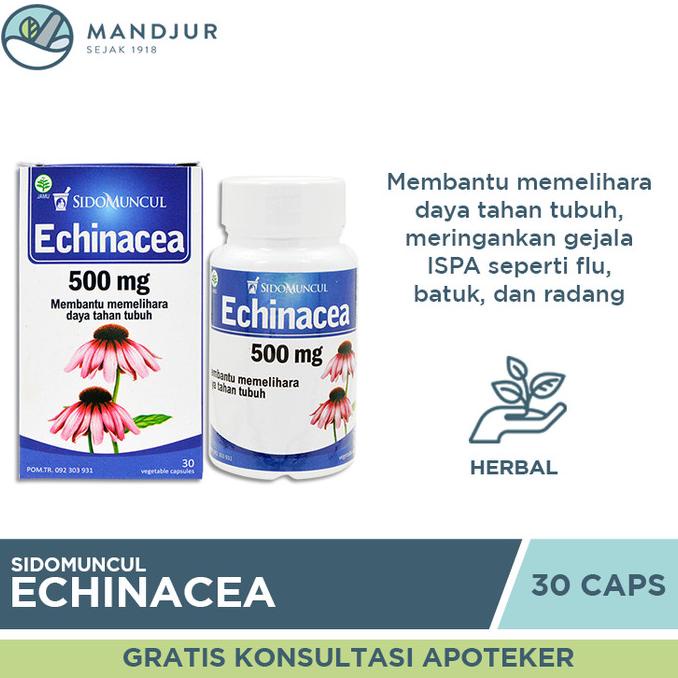 

TERBARU Sido Muncul Echinacea 30 Kapsul - Menjaga Imunitas Tubuh dari ISPA /OBAT HERBAL ASAM URAT/OBAT HERBAL PELANGSING/OBAT HERBAL KOLESTEROL/OBAT HERBAL DIABETES