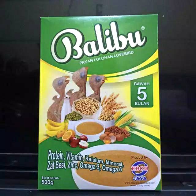 Pakan Lolohan Lovebird