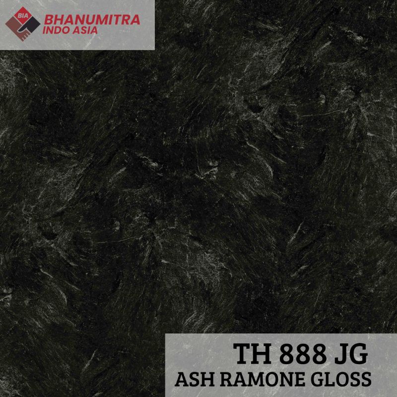 TACO HPL TH 888 JG Ash Ramone Gloss