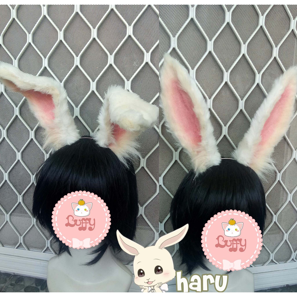 Bando realistic rabbit character game anime hololive vtuber cosplay amiya pecora