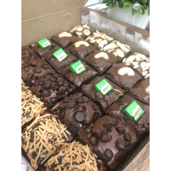 

Fudgy Brownies Panggang/ Brownies Sekat Premium/ shiny Brownies