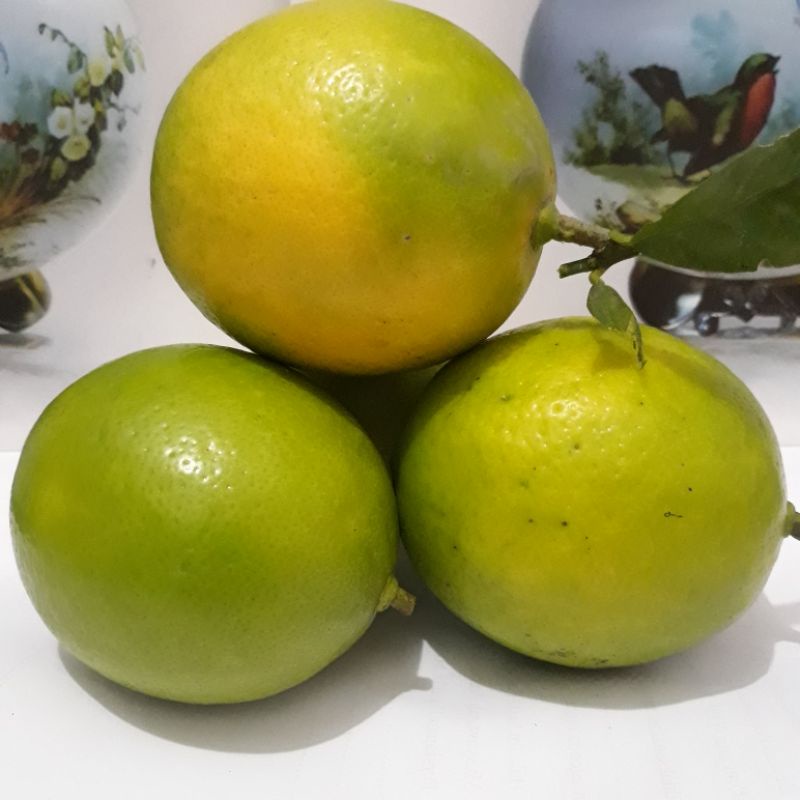 

Lemon California / Kalifornia Segarr 1 Kilo