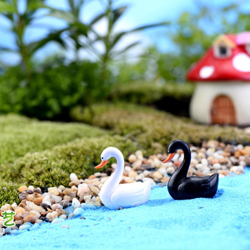 Miniatures - Terrariums - Fairy Garden - Animal_White &amp; Black Swan