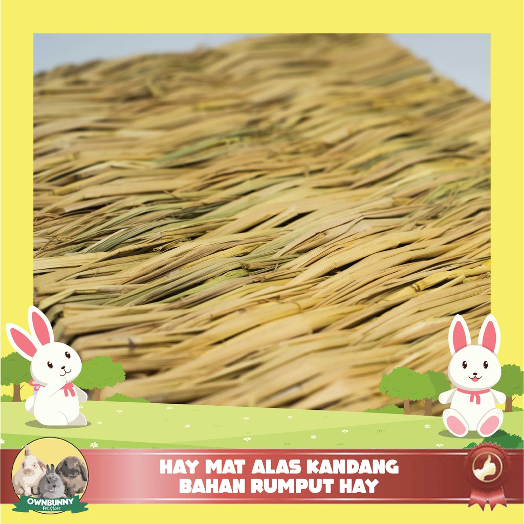 HAY MAT ALAS KANDANG RUMPUT MAKANAN UNTUK KELINCI MARMUT HAMSTER