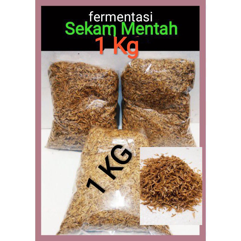 media tanam sekam mentah sekam padi sekem  padi