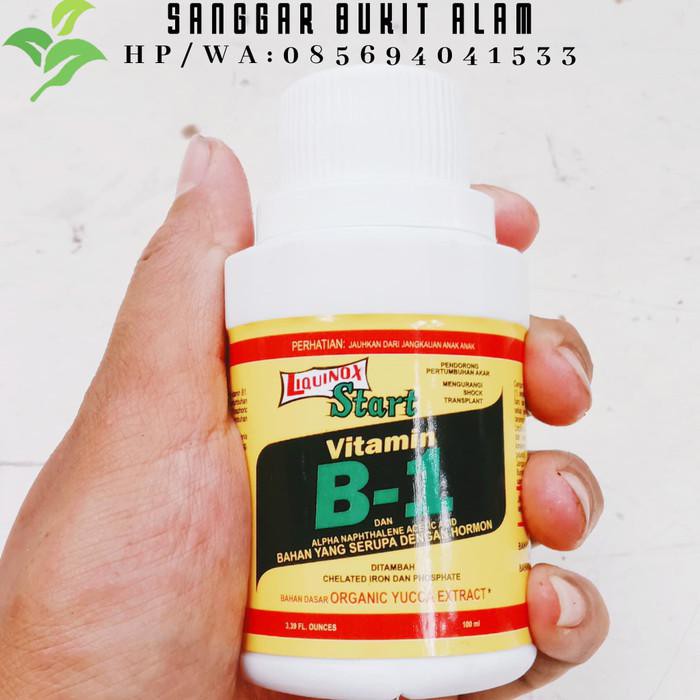 pupuk vit B1 VITAMIN TANAMAN - B1 LIQUINOX obat penumbuh akar tanaman