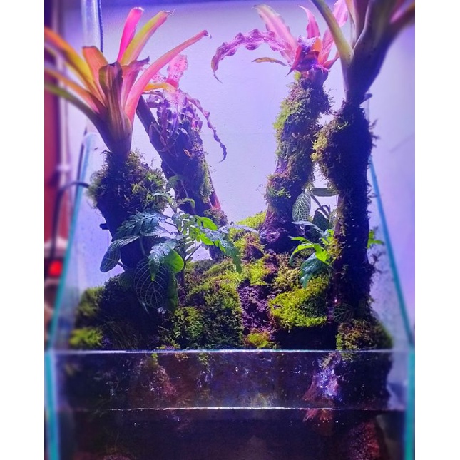 vivarium
