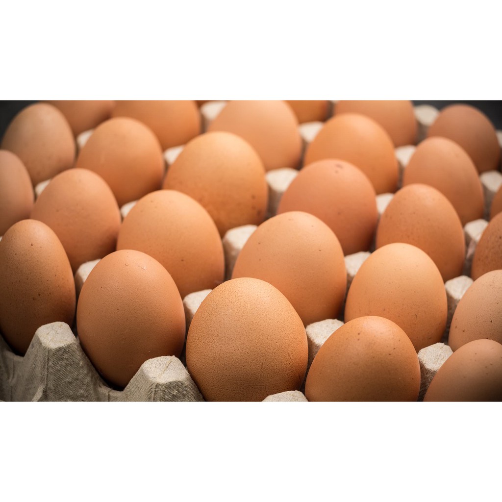 

Telur Ayam Negeri 1 kg