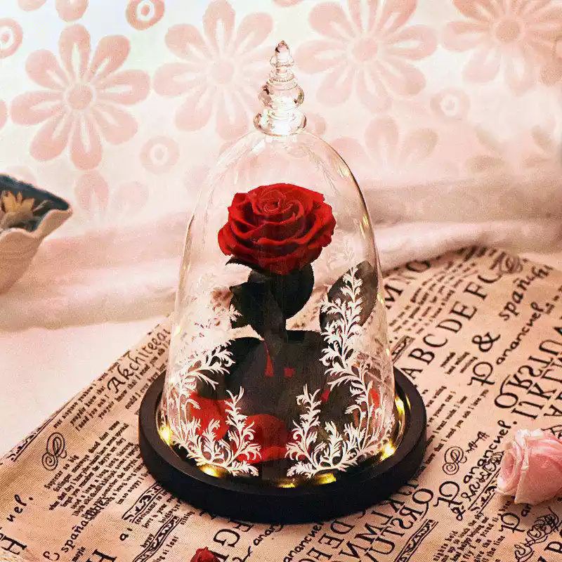 bunga beauty and the beast preserved rose impor led valentine gift hadiah anniversary