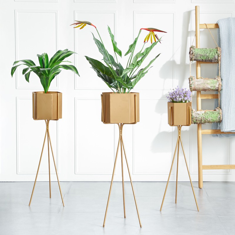 Lembut Bingkai bunga nordic, Besi tempa ruang tamu, Interior sederhana tunggal lobak hijau pot