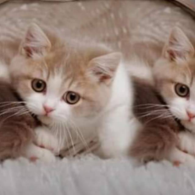 yuniartiismaningsihyuniar