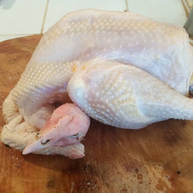 

Ayam kampung asli