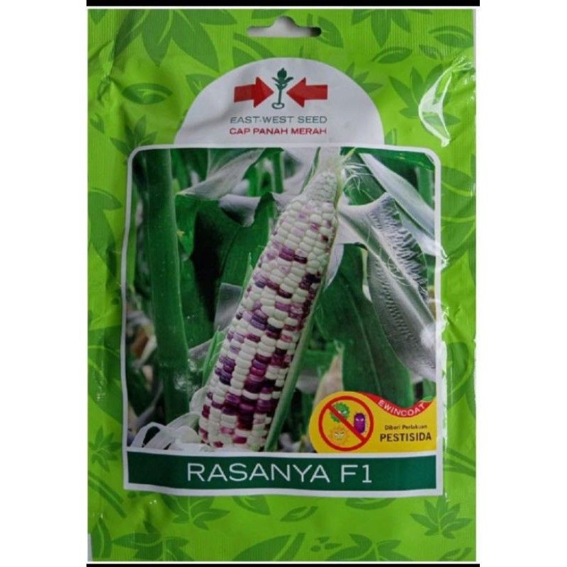 Benih Jagung Manis Rasanya F1 Bibit Jagung Manis Panah Merah