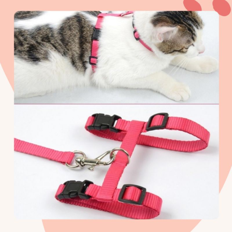 Tali Tuntun Harness Kucing/Anjing