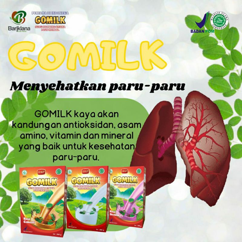 

Go Milk Susu Kambing Etawa Plus Herbal Daun Kelor Atasi Pernafasan TBC Asam Lambung Gerd Stroke Reumatik Sakit Tulang dll | Gomilk