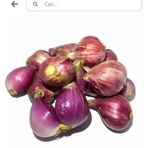 

bawang merah