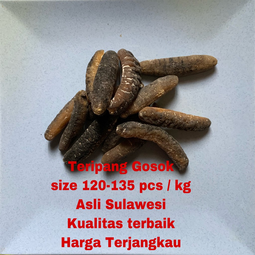 

Teripang/gosok/pasir/haisom/murah/super