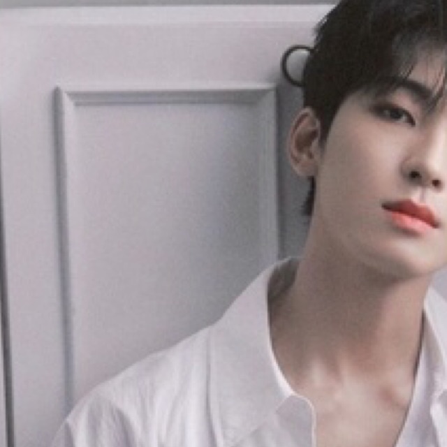 (booked⛔️) Wonwoo Semicolon Yizhiyu Fansign