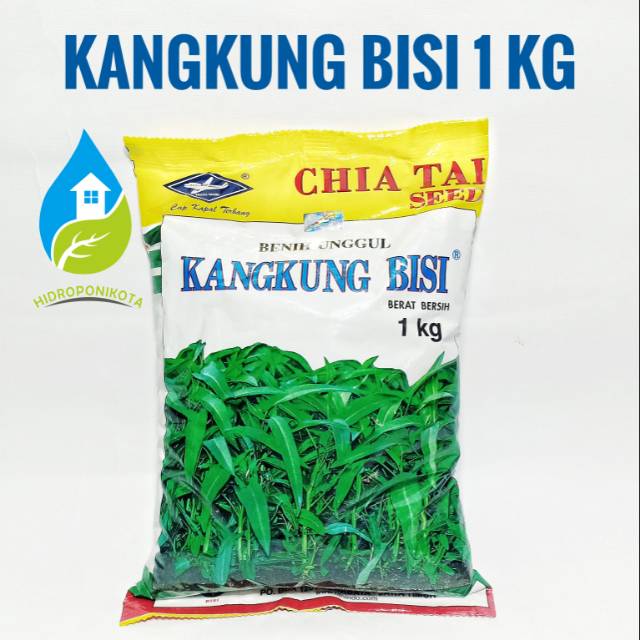 benih KANGKUNG BISI 1 kg - cap kapal terbang