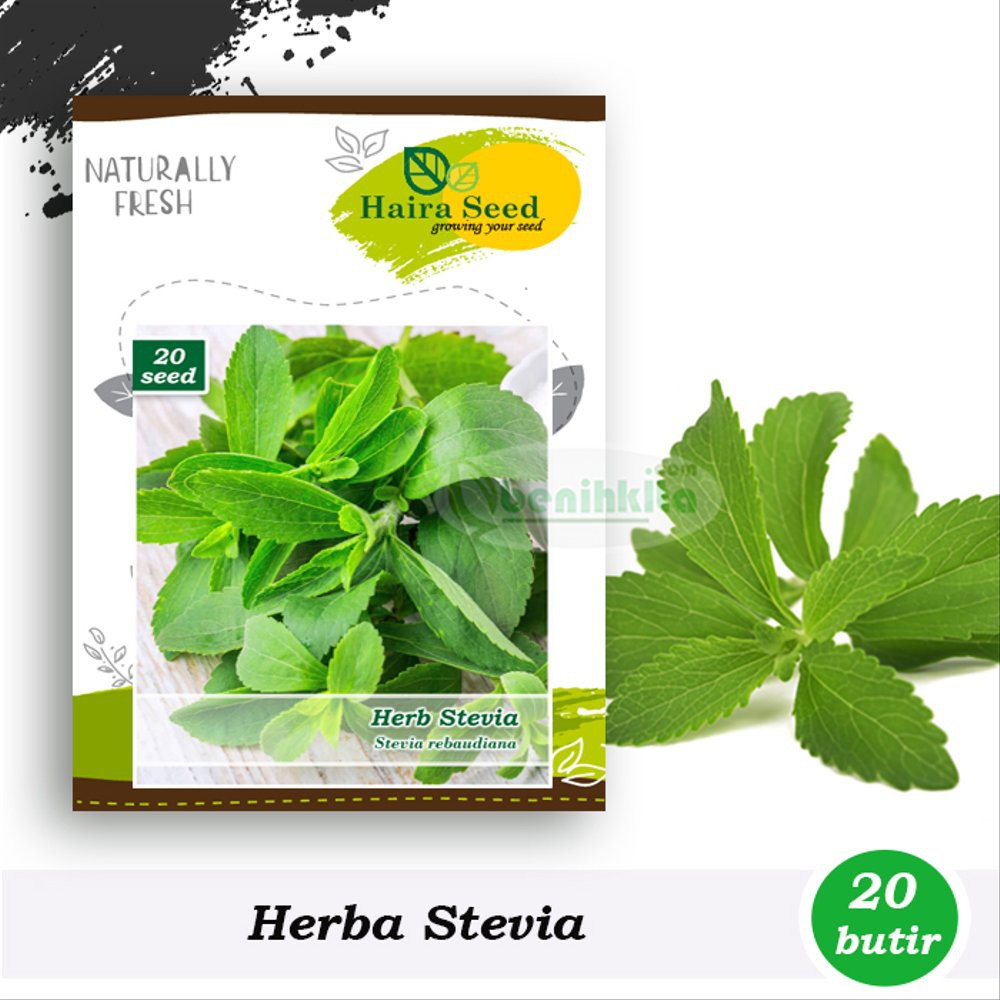 Benih-Bibit Herba Stevia - Haira Seed Berkualitas