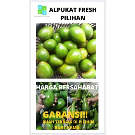 

Alpukat fresh pilihan