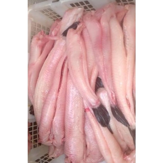 

Ay00! Ikan Gabus Giling Kualitas Super Fresh Dan Segar 1kg+Ikan Giling Bekasi