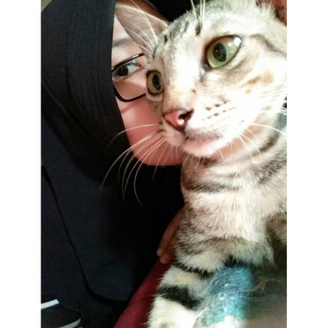 smadya19