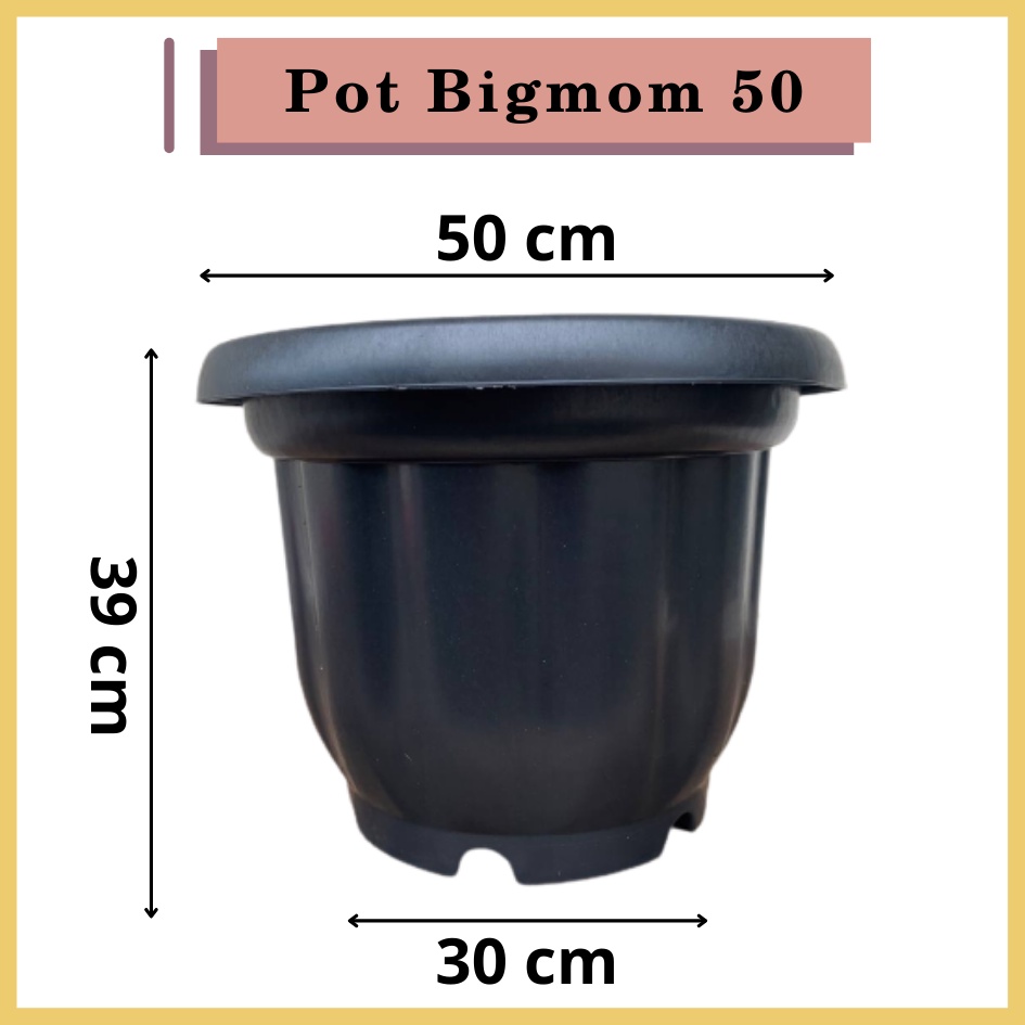 Rajaindobekasi ONLY SAMEDAY AND INSTAN Pot BIGMOM 50 Putih Hitam Merah Bata Merah Coklat Terracota Terracotta  - Pot Besar Jumbo 50cm Pot Besar Plastik Bahan Tebal - Pot Besar Jumbo 100cm 50cm 40cm Putih Tinggi Hitam