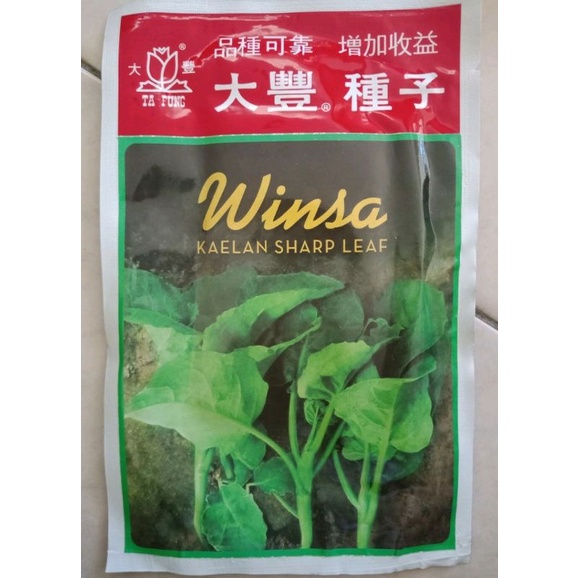 Benih Kailan merk Winsa. expired 10/26