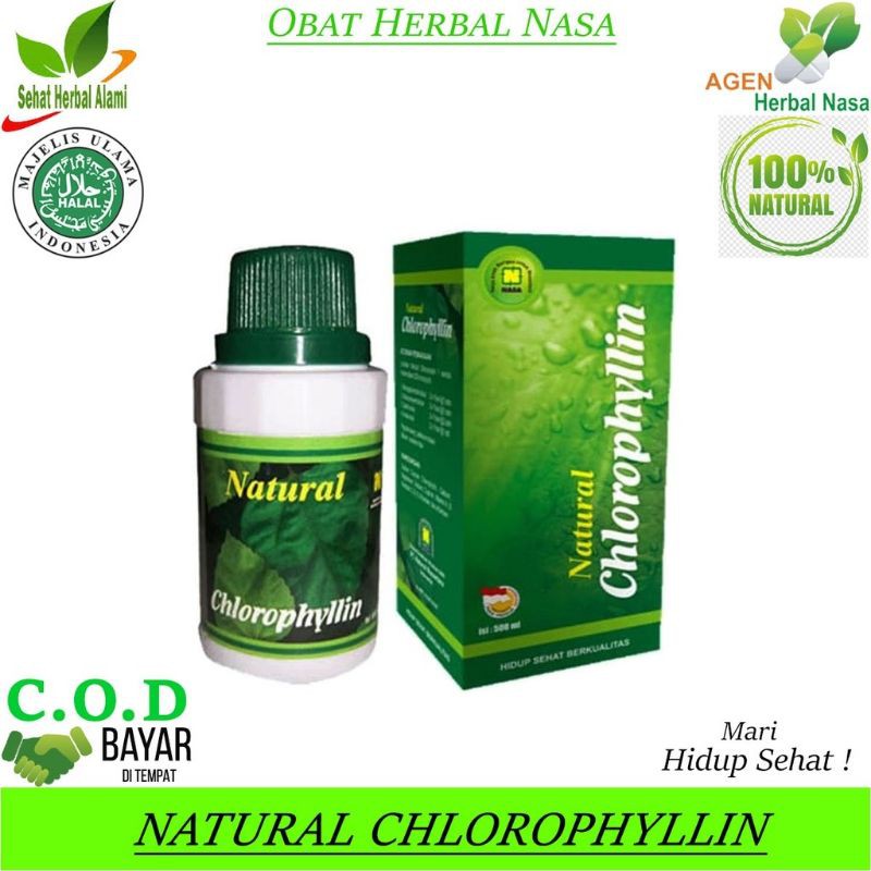 CHLOROFIL,HERBAL PEMBERSIH PARU,TOKSIN,BERHENTI MEROKOK,ASLI ORIGINAL