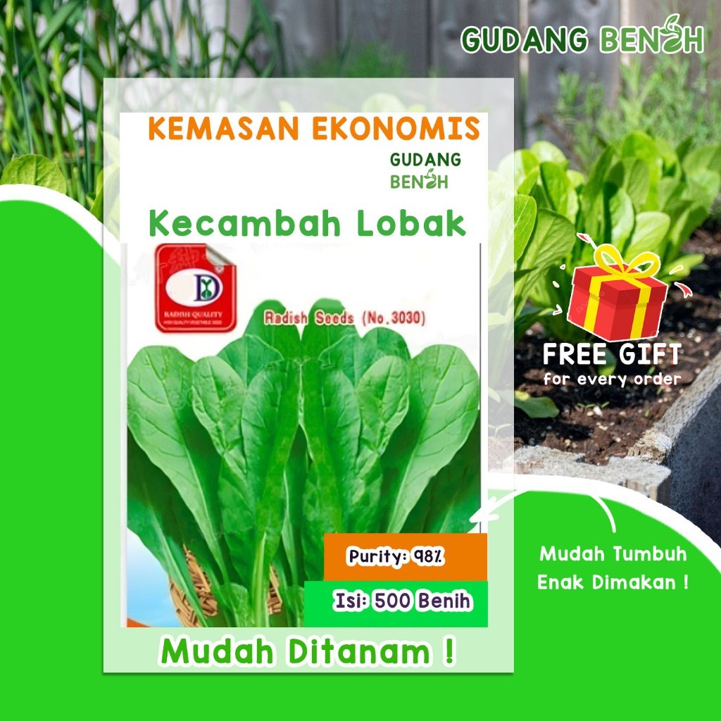 Benih Small Pack Bibit Kecambah Lobak / Benih Sayuran Lobak isi 50 Benih