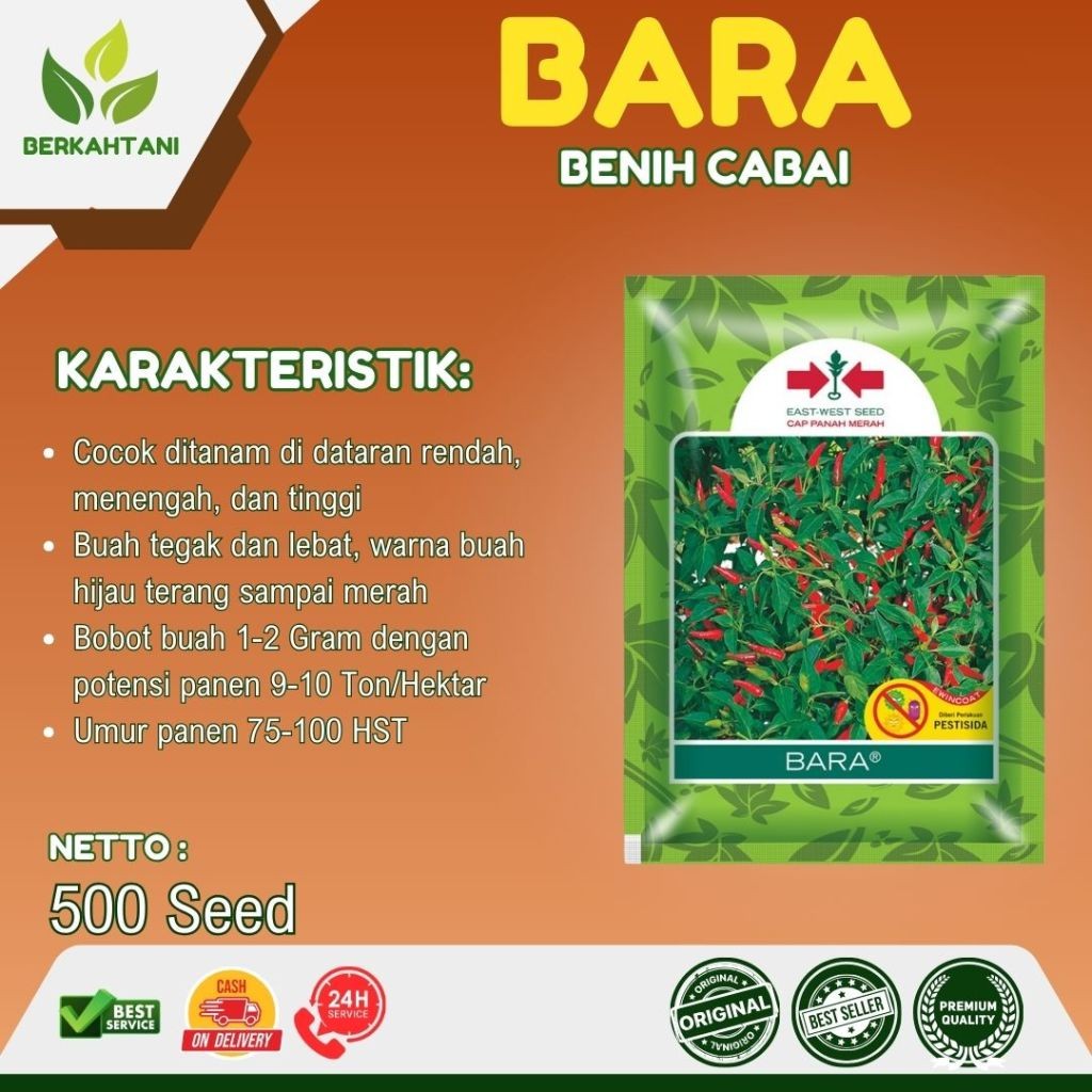 Benih Cabai Rawit Bara 500 Biji Cabe Bara