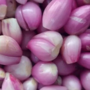 bawang merah kupas 1kg