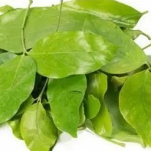 

daun melinjo 250g