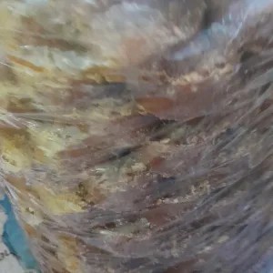 

gula jawa biasa 500g